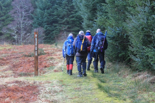 Heading through the Caledonian Forest Reserve